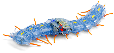 Illustration for article titled You Can Build This Creepy, Crawly Robotic Centipede Yourself—and Then Stomp It Back to Hell